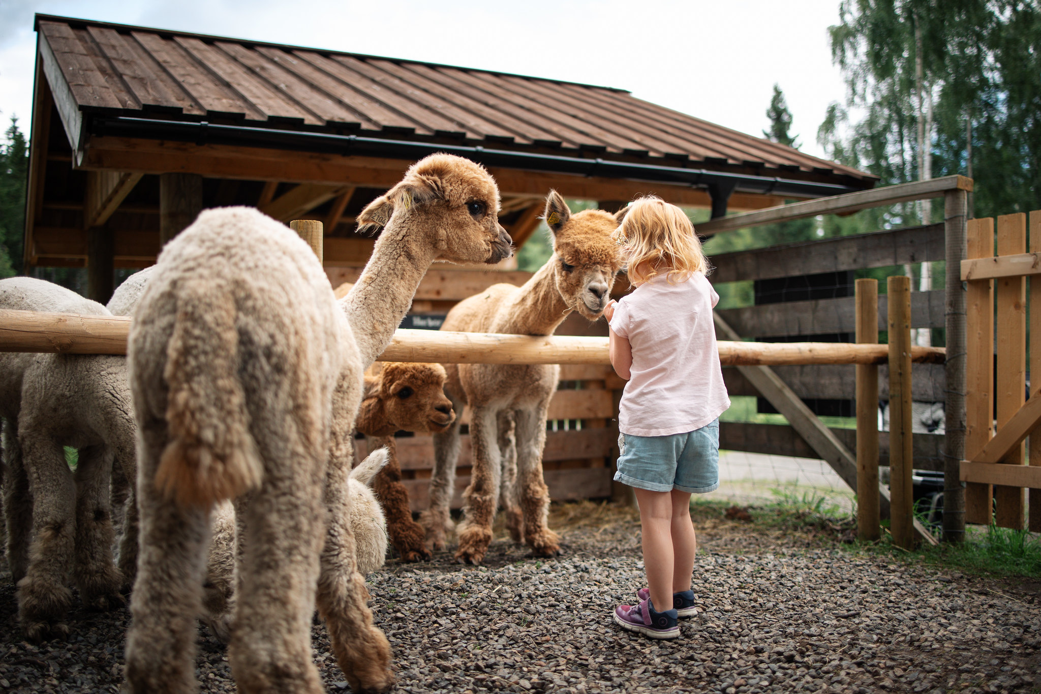 Barnas Gård Hunderfossen
